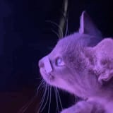 1724751923085494