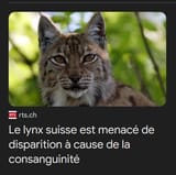 2025-07-17 10_41_24-Google Actualités — Mozilla Firefox