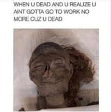 neet_dead