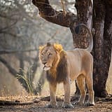 IMG_0595