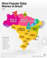 brasilemmapas_1738358832_3557934218755750681_6322778981