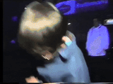 giphy