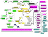 Imam_chart-ali.pdf