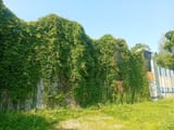 IMG_COM_202507181305388072