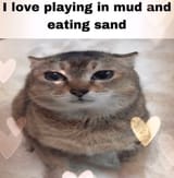 mud sand