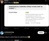 turkey only gay tops with proof can serve in military