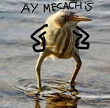Esu3I_vXIAYwPYa