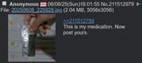 Malaysian pajeet schizophrenic meds