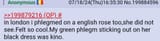 Romanian pajeet peak powercurryfantasy