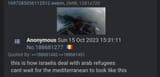 Romanian pajeet fedposting for israel