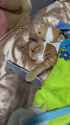 ssstwitter.com_1752849224220 (1)_thumb.jpg