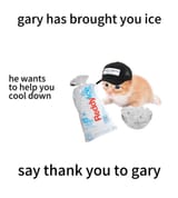 GvmxbsZXwAA1880