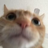 1611071942640