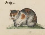 katz