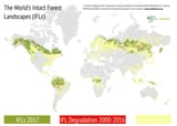 IFL_2017_infographic_logo-1024x730