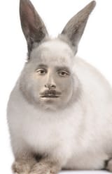 439278409238745
