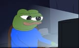 pepe-computer-screen-bright