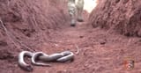 Screenshot_20250718_222010_YouTube