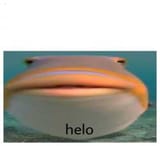 1738673761679106