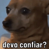 c6a4cfb757390e4d4d74794332d5919d