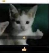 1621531859654