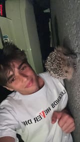 Thread 213108154 OP Image