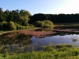 IMG_20180624_063707
