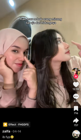 austronesian nose