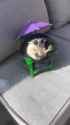 ssstwitter.com_1752916506131 (1)_thumb.jpg