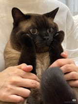 GwDQcrsXsAAbHeR