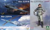 ho229