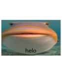 1736929390573732