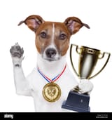 winner-dog-EKC324[1]