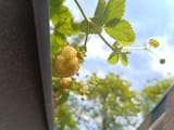 IMG_20250719_142709