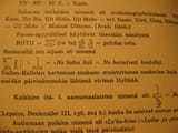 fennoegyptianism
