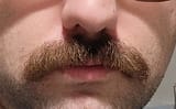 my mustache