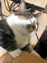 Gvgb7F_WIAAcJbu