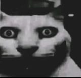 1749157199573667