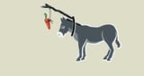 carrot-stick