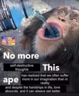 This ape