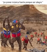 venecos