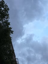 IMG_8691