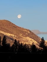 IMG_20250115_083656223