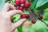 istockphoto-185964825-612x612
