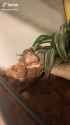 w8lYAi-qAL9yc7Sv (1)_thumb.jpg