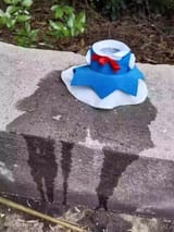 cirno