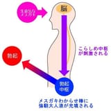 mesugaki_detected