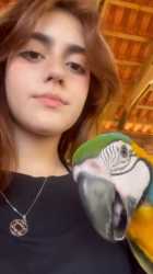 1750616299740712_thumb.jpg