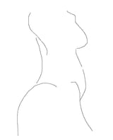 split ends anatomy