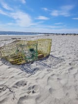Lobster trap